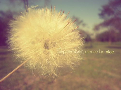 Colocando o papo em dia…